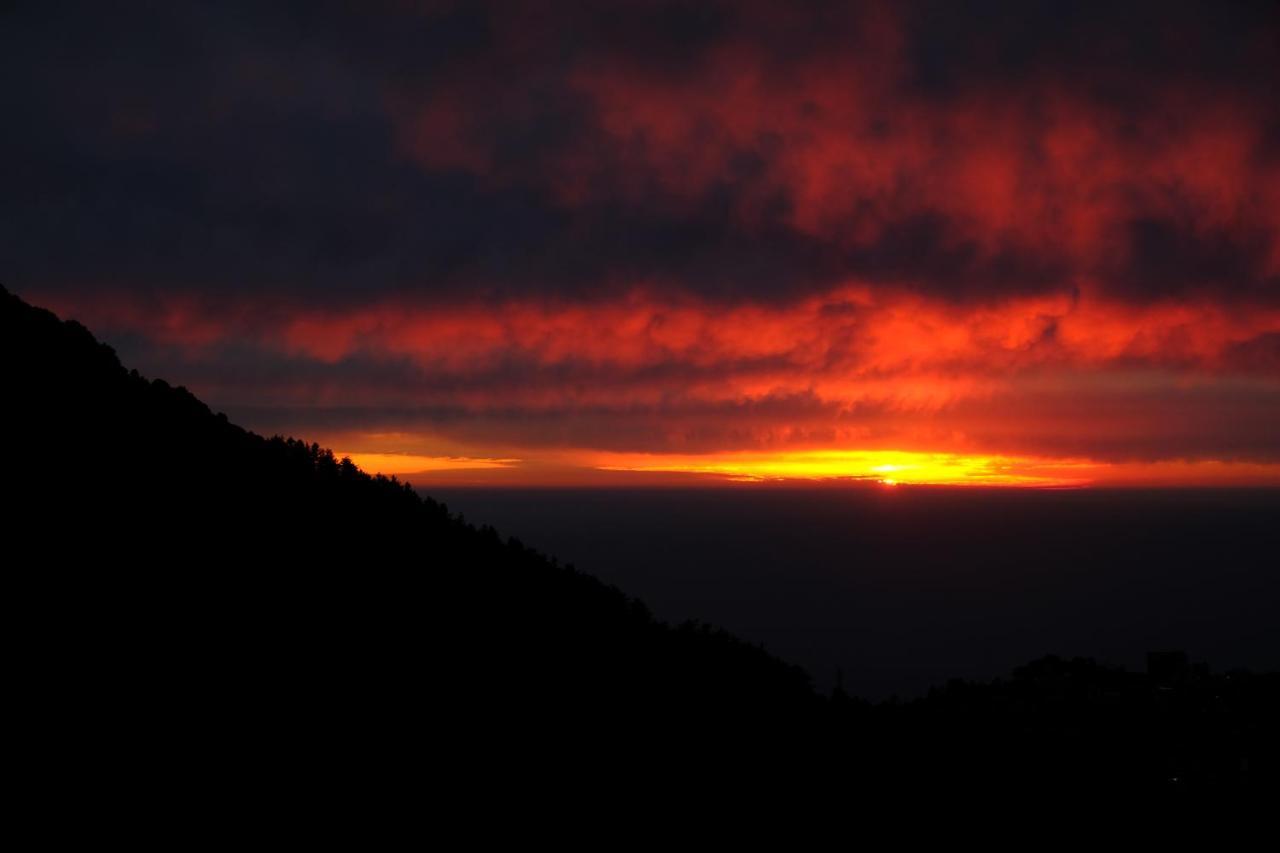 Mitra Mcleodganj Hostel McLeod Ganj Buitenkant foto