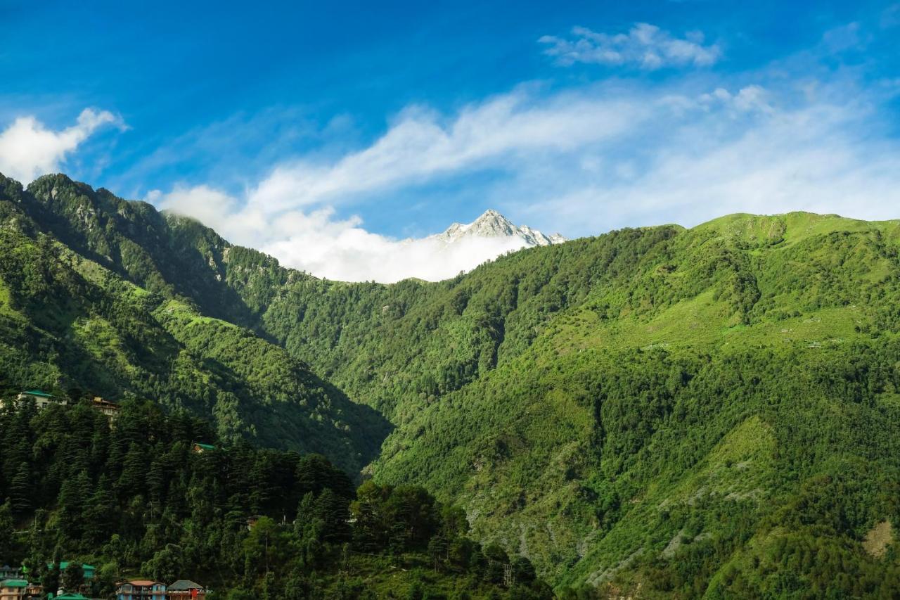 Mitra Mcleodganj Hostel McLeod Ganj Buitenkant foto